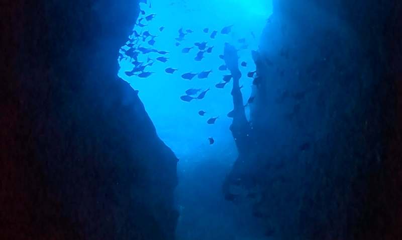 Adrasan Fosforlu Mağara